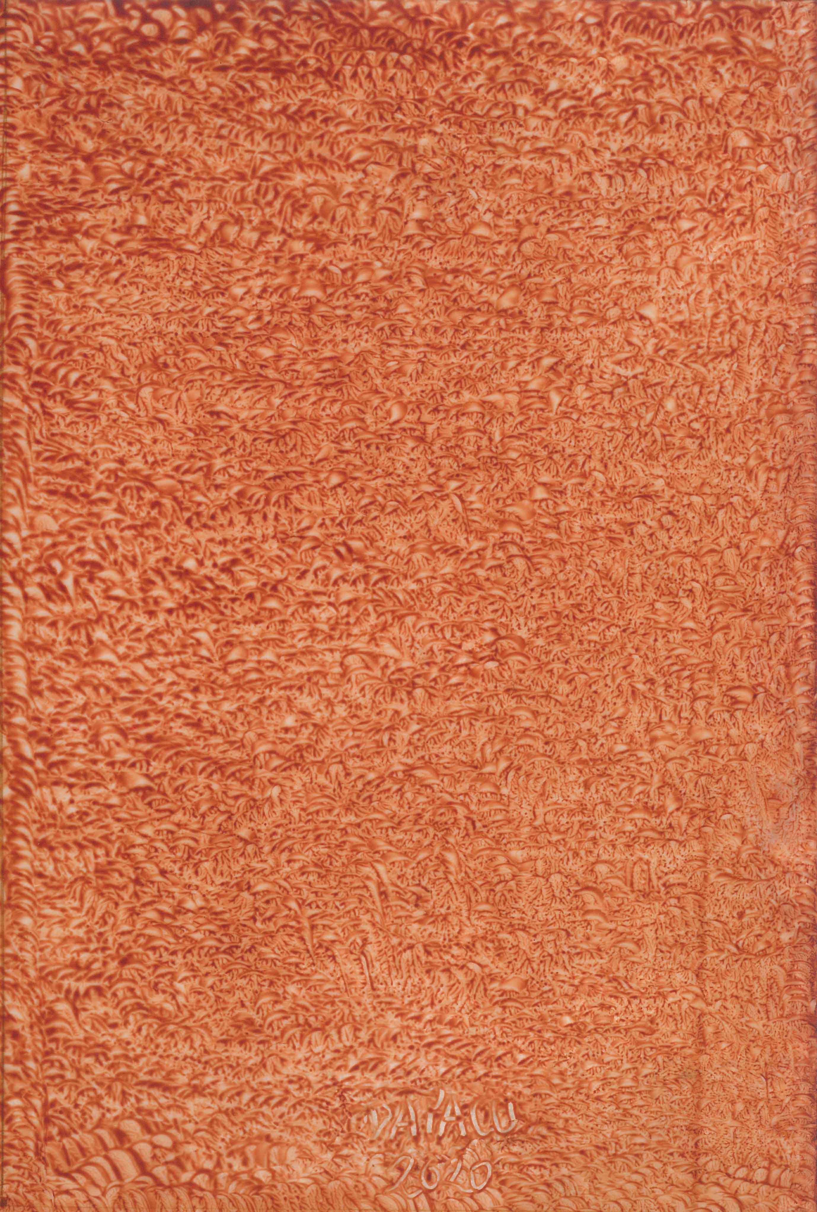 Original Paintings for Sale